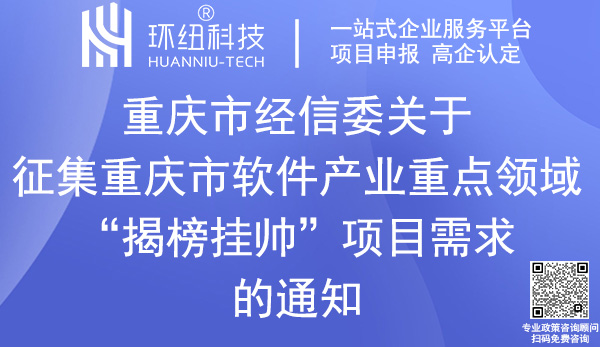 重慶市軟件產(chǎn)業(yè)重點領(lǐng)域“揭榜掛帥”項目需求征集