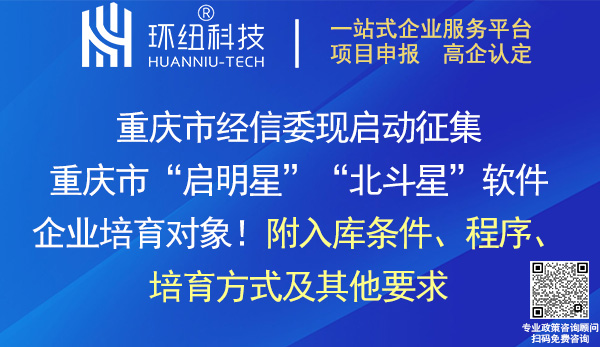 重慶市啟明星北斗星軟件企業(yè)培育入庫申報